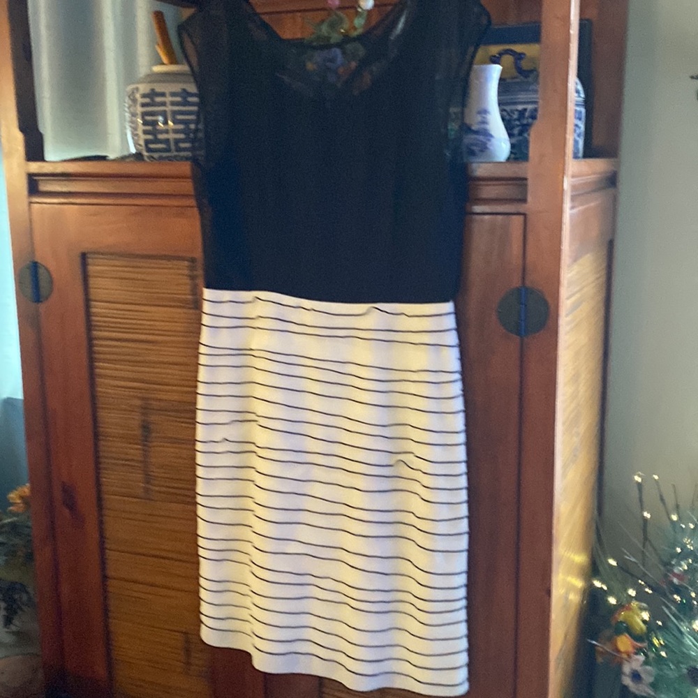 Lovely Sandra Darren classy dress